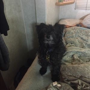 Meet your Posher, Robert